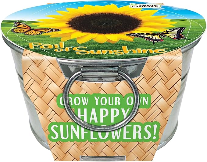 Unique Gardener Flowering Tin Plant Seeds 3 Variety Pack, DIY Indoor Succulents and Live Plants for Home or Garden Planting, Assorted Tin Pack