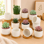 ZOUTOG 12 Pack Ceramic Succulent Pots,3.6 Inch Plant Pots,Succulent Planters with Drainage Hole & Bamboo Tray for Indoor Plants,White Small Flower Planters for Home,Office,Desk