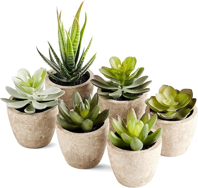 Artificial Succulents Plants Potted Set-Decorative Fake Succulent Plant Faux Plastic Plant Indoor &Outdoor for House Office Desk Bathroom Kitchen DIY Decor Gift Set of 6