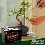 Meekear Bonsai Tree Kit with Complete Plant Growing Tools, Grow in Pot Indoor Bonsai Tree Starter Kit, Home Gardening DIY Gift for Adult