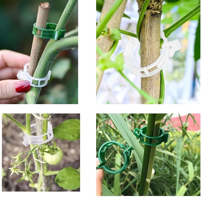 Secured PlasticTomato Vine Clips Support Clips Climbing Plants Garden Clips, Plastic Tomato Grape Vine for Flowers Stem Vine Fixing Clip， (green)