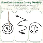 6 Pack Air Plants Live Holders Hanging Air Plant Holder Adjustable Rust-Resistant Iron Rings With Jute Ropes Soilless Stand Display Container For Tillandsia Succulents Home Office Decor Black