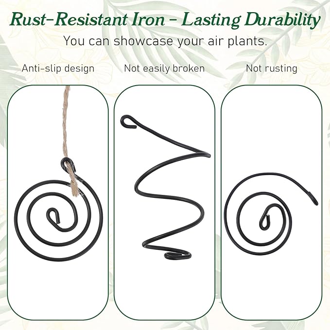 6 Pack Air Plants Live Holders Hanging Air Plant Holder Adjustable Rust-Resistant Iron Rings With Jute Ropes Soilless Stand Display Container For Tillandsia Succulents Home Office Decor Black