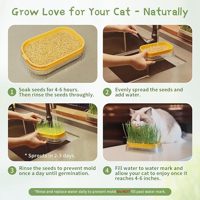 Hydroponic Cat Grass Grow Kit with 5 Pack Non GMO Wheat Seeds, Cat Grass for Indoor Cats, Organic Grass Growing Kit, Soil-Free Planter, Perfect for Beginners, Cats Gifts
