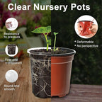 30 Packs 4 Inch Reinforced Clear Nursery Pots for Plants with Drainage Holes, High Transparency Plastic Seedling Plant Pot with Drainage Holes Have 20 Labels
