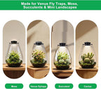 Glass Plant Terrarium with LED Grow Light, 7.8" Borosilicate Terrarium with Adjustable Ventilation & Timer, for Venus Fly Trap, Moss, Succulents, Mini Landscape, Desk Decor for Home Office