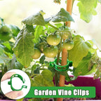 400 Pcs Plastic Trellis Plant Support Clips,Vine Vegetable Fixing Clips,Grape Tomato Plant Support,Garden Vine Clips for Healthier Vegetable Growth (Green)