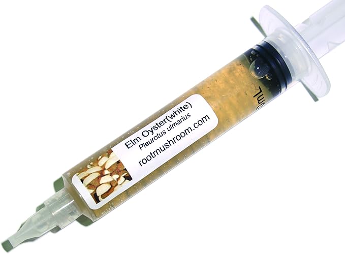 Root Mushroom Farm--Mushroom Liquid Cultures/White Elm Mushroom(Pleurotus ulmarius)
