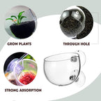 Tfwadmx 6 Pieces Aquarium Plant Holder Pot Aquarium Decor Crystal Glass Aquatic Plant Cup with Suction Cups Aquarium Fish Tank Decorations