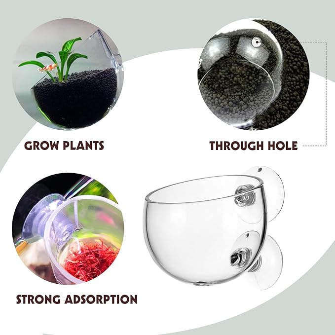 Tfwadmx 6 Pieces Aquarium Plant Holder Pot Aquarium Decor Crystal Glass Aquatic Plant Cup with Suction Cups Aquarium Fish Tank Decorations