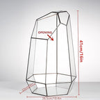 NCYP No Door Large Geometric Terrarium - 16 Inches Irregular Open Glass Terrarium Pot for Tall Cacti, Tall Succulents - Home Garden Tabletop Decoration (NO Plants)