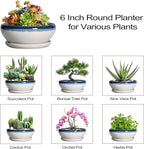 SQOWL Succulent Planters 6 Inch - Ceramic Bonsai Pots with Drainage Hole and Saucer, Round Shallow Planter for Indoor Outdoor Plants, Ceramic Cactus Pot, Apartment Decor, Gifts for Women, Blue-Beige