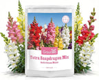 Groundio 1500+ Tetra Mix Snapdragon Seeds for USDA 1-12 Planting, 18-24’’ Tall Snap Dragon Mix, Annual Wildflower Seeds, Ideal for Garden, Containers (Antirrhinum Majus)