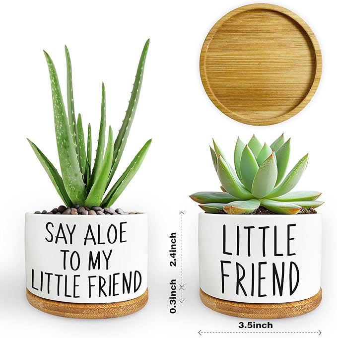 Kwtzkuo® 2 Pack- Say Aloe to My Little Friend - Funny Succulent Pots, Cute Small Ceramic Planter Pot with Drainage, Home & Office Succulent Aloe Planter