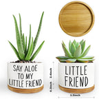 Kwtzkuo® 2 Pack- Say Aloe to My Little Friend - Funny Succulent Pots, Cute Small Ceramic Planter Pot with Drainage, Home & Office Succulent Aloe Planter