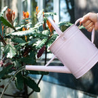 1 Gallon Watering Can, Matte Pink (Almost Manve), Metal Watering Can with Removable Spout, Galvanized Water can with Floral Design, Perfect Plant Water Can for Outddor and Indoor Use