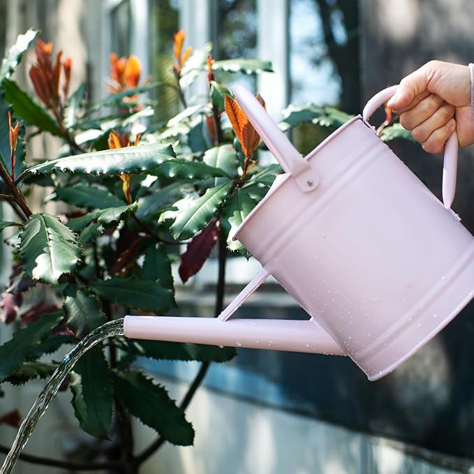 1 Gallon Watering Can, Matte Pink (Almost Manve), Metal Watering Can with Removable Spout, Galvanized Water can with Floral Design, Perfect Plant Water Can for Outddor and Indoor Use