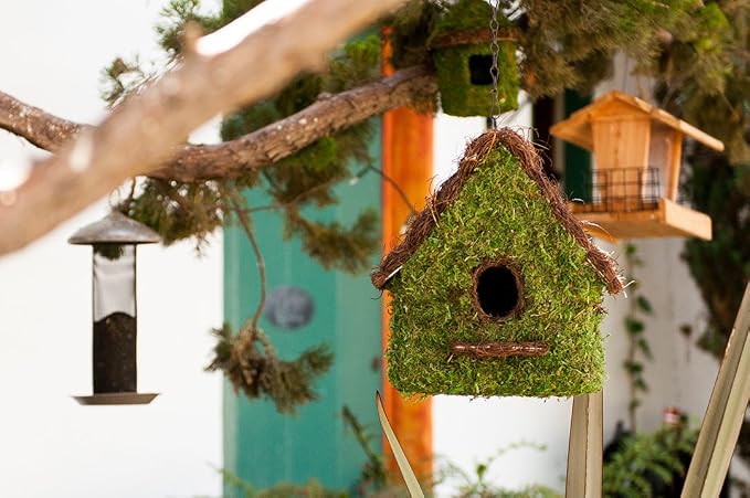 SuperMoss (56012) Maison Birdhouse with Chain, 11 by 12-Inch, Fresh Green (Pack of 3)