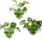 Wall Hanging Planter Propagation Station for Indoor Plants Glass Vase Air Plant Holder Gift for Women Girlfriend Plant Lover