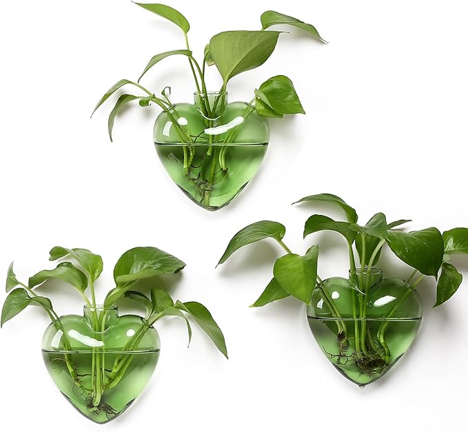 Wall Hanging Planter Propagation Station for Indoor Plants Glass Vase Air Plant Holder Gift for Women Girlfriend Plant Lover