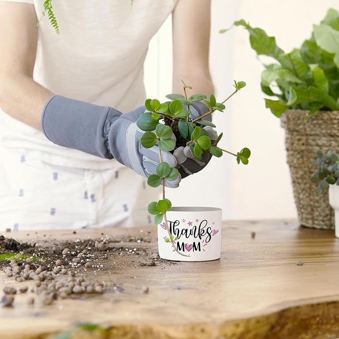 Tarklanda 3Pcs Gifts for Mom Best Mom Ever Succulent Pots Mini Ceramic Plant Pots with Bamboo Tray Pot Planters Birthday Thanksgiving for Mother-in-Law Wife Plants Not Included
