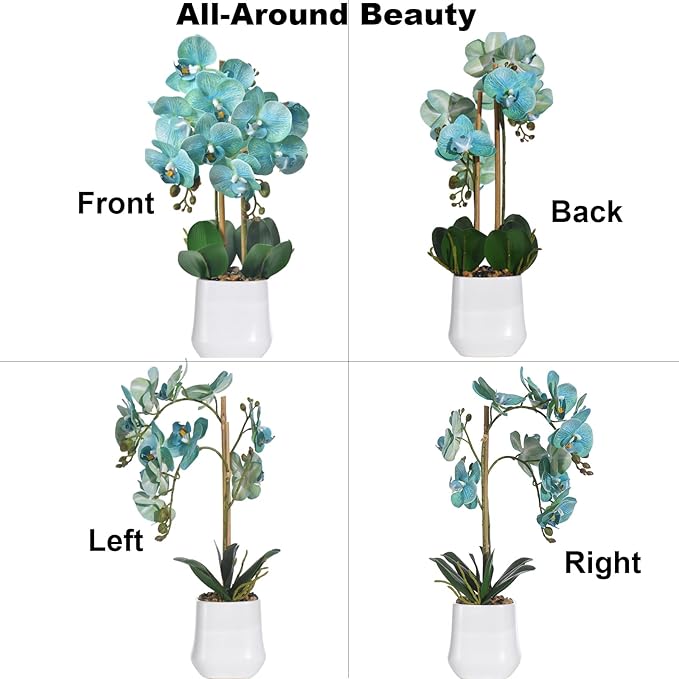 Orchids Artificial Plant in Ceramic Pot 18.5" Faux Orchid Phalaenopsis Flowers Arrangement for Home Office Table Centerpiece Indoor Decor, Teal Blue