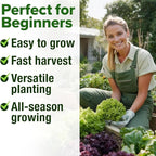HOME GROWN 11,500+ Heirloom Lettuce Seeds - 10 Varieties Including Romaine, Buttercrunch, Iceberg, Kale & Spinach - Non-GMO USA Seeds for Planting Indoor, Outdoor & Hydroponic Gardens