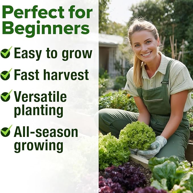 HOME GROWN 11,500+ Heirloom Lettuce Seeds - 10 Varieties Including Romaine, Buttercrunch, Iceberg, Kale & Spinach - Non-GMO USA Seeds for Planting Indoor, Outdoor & Hydroponic Gardens