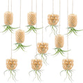 SnowTing 10 PCS Hanging Air Plant Holder, Unique Bamboo Lantern Shape Air Plant Hanger with Jute Ropes for Tillandsia Succulent Houseplants, Airplants Hanging Holders for Home, Office & Garden Decor