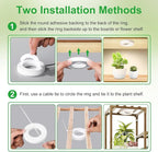LED Plant Growth Lights for Indoor Plants, Warm+White Full Spectrum 3.54" Grow Lamps for Plant Growth with 6/12/16H Timer, 3 Spectral Modes, 10 Dimmable Levels, Halo Angel Ring White (4 Head)