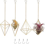 4Pcs Hanging Metal Air Plant Holder with Chain Mini 2 Style Tillandsia Geomitric Airplants Hanger Air Fern Cage Decor for Home and Office