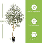 Realead 8ft Faux Olive Tree, Large Realistic Olive Trees Artificial Indoor, Tall Fake Olive Tree with Natural Wood Trunk and Lifelike Fruits for Home Office Decor