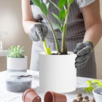 WSMKSZ 8 Inch Cylinder Plant Pots for Indoor Outdoor Plants, Medium Deep Flower Pots with Drainage Holes & Saucer, Decorative Plastic Planter Pots for Garden House Plants, White
