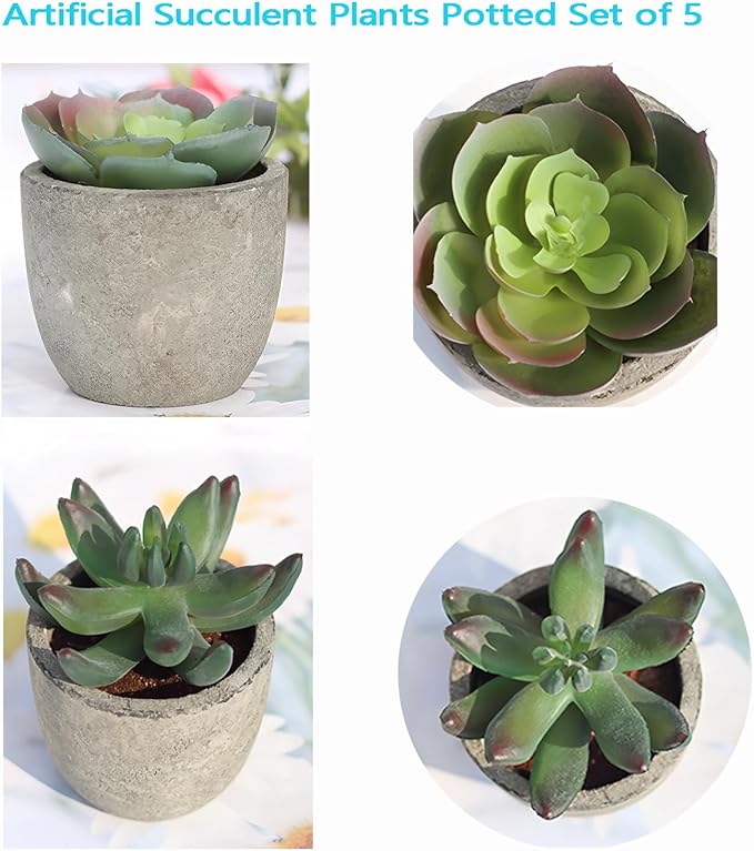 Set of 5 Artificial Succulent Plants in Pots - Lifelike Fake Succulents for Desk Decor, Low--Maintenance Home & Office Decor Gift
