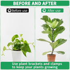 20pcs 15.7" Plant Stakes with 30pcs Clips, Bendable Orchid Stakes and Clips Set Support Tall for Indoor/Outdoor Plants,Potted Plants,Single Stem Vines Flower Plant Support Sticks for Orchid Rose Peony