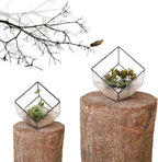 ELEGANTLIFE Glass Geometric Plant Terrarium Container, Flower Pot Tabletop Planter Decor Glass Display Box Succulent & Air Planter for Home Garden Office Decoration(Black Cubic Set of 2)