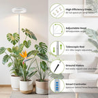 White Grow Light, Full Spectrum LED Plant Lighs for Indoor Growing with 6/12/16H Timer, 3 Color Modes, 5 Brightness, 10"-60" Height Adjustable Plant Lamp for Tall Indoor Plants (3 Pack)