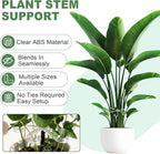 32 Pack Upgraded Plant Stem Support, Monstera Plant Support, Nearly Invisible Support for Indoor Plants, Reusable Stem Holders, 4 Sizes Plants Accessories, Plant Stabilizer Indoor