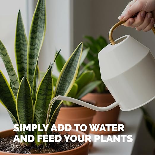 Indoor Plant Food – Liquid Fertilizer for Houseplants, New Growth, Greener Leaves, and Strong Roots, 8oz