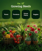 FoxFarm Grow Big Liquid Plant Food - 6-4-4 House Plant Fertilizer for Lush Vegetative Growth, Fast Nutrient Uptake for Roses, Tomatoes & Veggies - Pint Size Concentrate