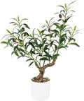Caxchiling Fake Olive Plants 2FT, Artificial Small Olive Tree Indoor, Faux Potted Plants Decor for Tabletop, Desk, Shelf, Office, Kitchen, Living Room, Bedroom, Bathroom