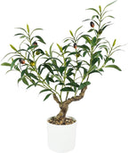 Caxchiling Fake Olive Plants 2FT, Artificial Small Olive Tree Indoor, Faux Potted Plants Decor for Tabletop, Desk, Shelf, Office, Kitchen, Living Room, Bedroom, Bathroom