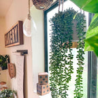 CEWOR 4pcs Fake Hanging Plants, String of Pearls Artificial Hanging Succulents Greenery Wall Backdrop Decor, Artificial Plants Indoor for Home Garden Outdoor Decoration
