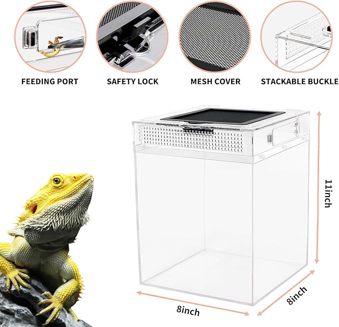 Reptileg Growth Reptile PC Terrarium, 8''x 8''x 11'' with Top Sliding Door Screen Ventilation Tarantula Enclosure for Snake, Frog,Insect,Tarantula,Hermit Crab，Spider,Iguana,Tortoise,Bearded Dragon