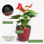 Dexceder 9x8 Self Watering Planter (Red High Gloss) | Inner Pot Design, Thickened Table Flower Plant Pot with Water Level Indicator Indoor Outdoor