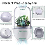 Smart Venus Fly Trap Terrarium Pot with Timer&Fan,Plant Terrarium Kit with Grow Light for Carnivorous,Butterwort, Venus Flytrap,Birthday Gardening for Women Garden Lover-No Plant