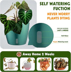Self-Watering Pots for Indoor Plants, 4-Pack 6.7'' Self Watering Planter with Drainage Holes, Small African Violet Pots with Water Indicator, Orchid Pot, White/Grey/Blue/Rose Gold