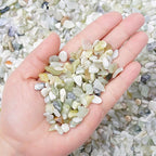 Succulent and Cactus Bonsai DIY Rocks, Jade Bean Pebbles, Natural Decorative Polished Stones Vase Fillers Gravel for Plants，Terrarium, Fairy Gardening, Indoor Outdoor Decor Ornamental Stones.