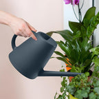 ZXJ Plant Watering Cans for Indoor and Outdoor Home Garden Plants - with Long Spout - Black - 1/2 Gallon