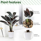 Briful 24.8" Artificial Cordyline Fruticosa Plant Decorative Indoor Tropical Fake Plants in White Pot for Home or Office